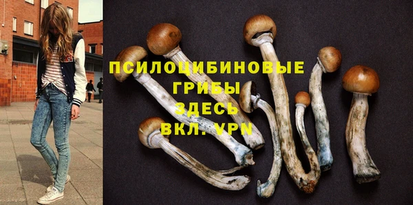 сатива Надым