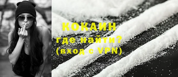 сатива Надым