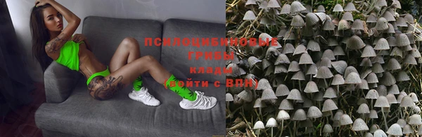 амф Михайловск